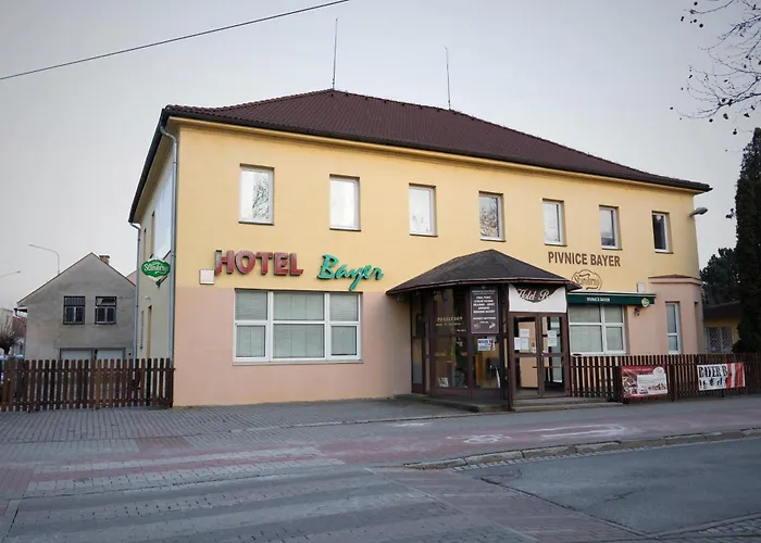Bayer Hotel *